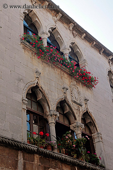 gothic-windows-n-flowers-1.jpg