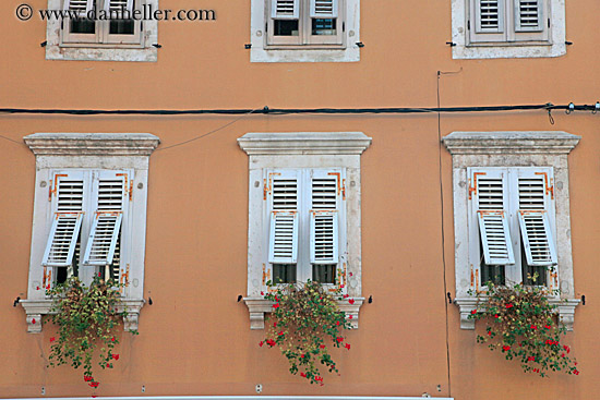 windows-n-flowers-2.jpg