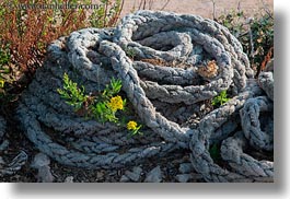 croatia, europe, flowers, horizontal, punta kriza, ropes, photograph