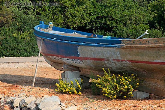 old-blue-boat-n-yellow-flowers-1.jpg