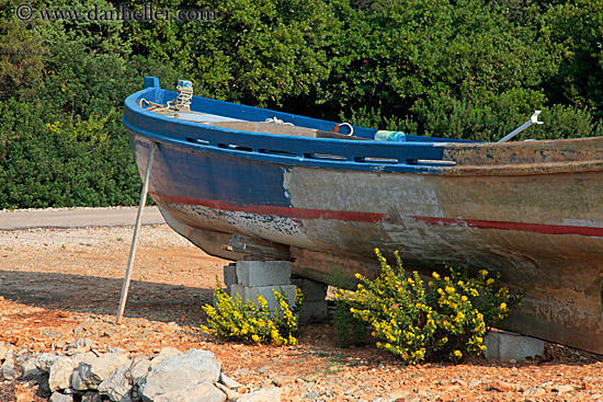 old-blue-boat-n-yellow-flowers-1.jpg
