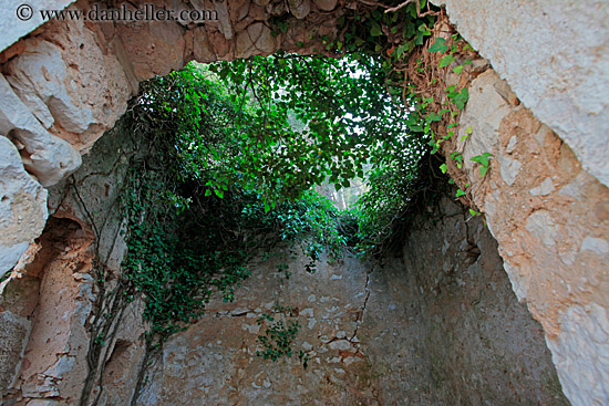 upview-to-ivy-in-ceiling.jpg