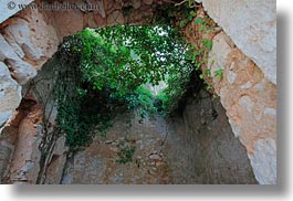 ceilings, croatia, europe, horizontal, ivy, punta kriza, upview, photograph