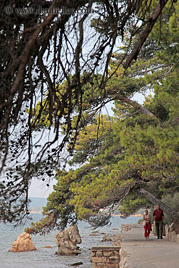 couple-walking-by-trees-n-water-3.jpg