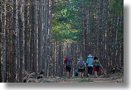 croatia, europe, forests, hikers, hiking, horizontal, nature, people, pines, plants, rab, trees, photograph