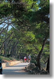 croatia, europe, hikers, hiking, lined, nature, paths, people, plants, rab, trees, vertical, photograph