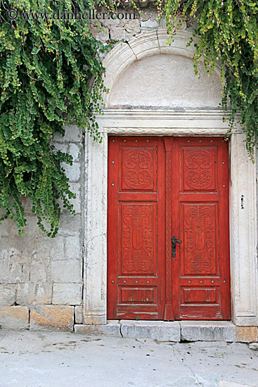 ivy-n-old-wood-door-1.jpg