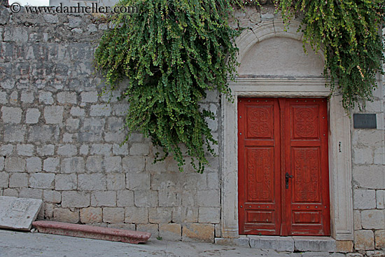 ivy-n-old-wood-door-2.jpg
