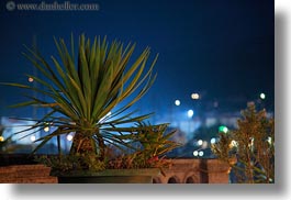 croatia, europe, glow, horizontal, lights, nite, palm trees, rab, photograph