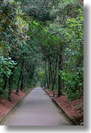 croatia, europe, long, rab, trees, vertical, walkway, photograph
