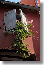croatia, europe, from, hangings, plants, rovinj, vertical, windows, photograph
