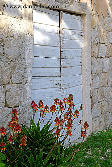 flowers-n-white-door-3.jpg