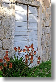 croatia, doors, europe, flowers, sipan, vertical, white, photograph
