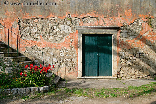 green-door-n-amaryllis.jpg