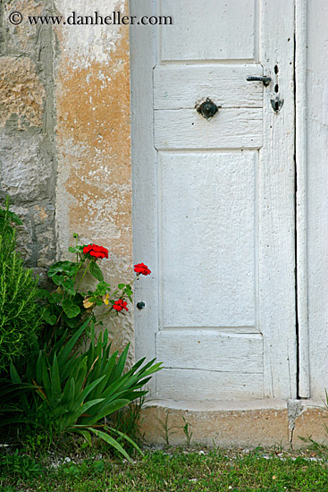red-flowers-white-door-1.jpg