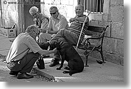 black and white, croatia, dogs, europe, horizontal, men, sipan, photograph