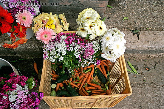 flowers-n-carrots.jpg