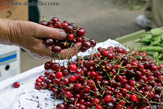 holding-cherries.jpg