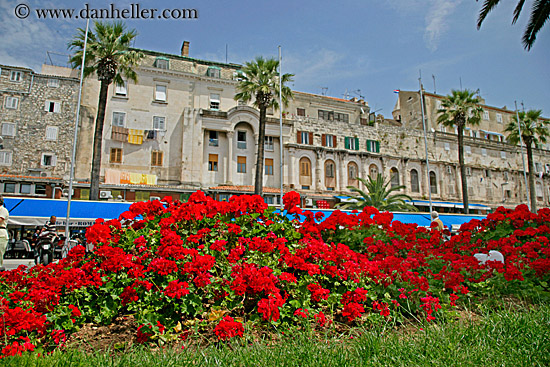 flowers-n-bldgs-2.jpg