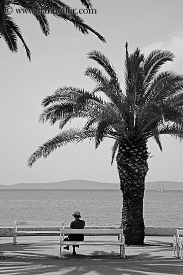 woman-bench-palm_tree-bw-1.jpg