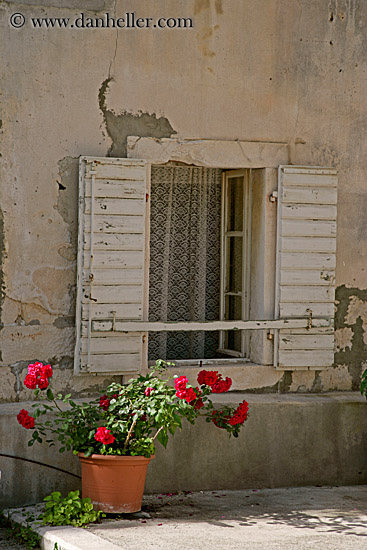 window-n-flowers-4.jpg