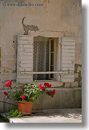 croatia, europe, flowers, trogir, vertical, windows, photograph