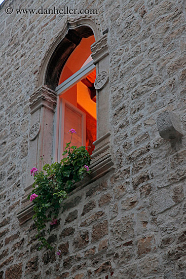 gothic-window-glow-n-geraniums.jpg