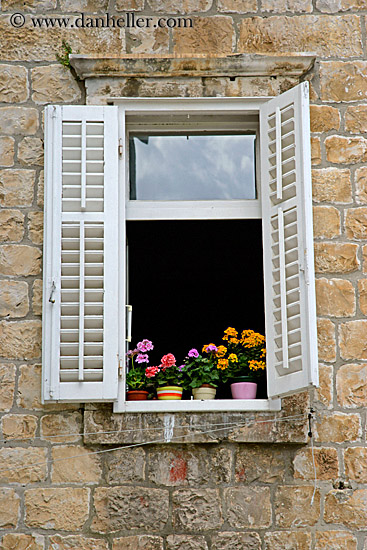 window-n-flowers-1.jpg