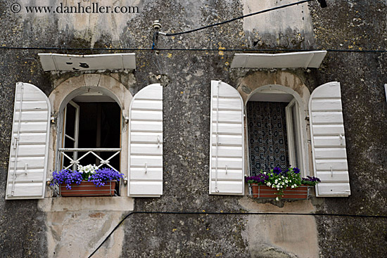 window-n-flowers-3.jpg