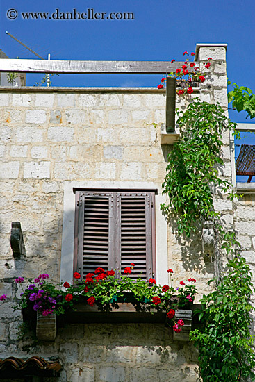 window-n-flowers-5.jpg