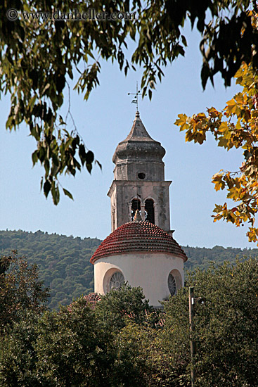 bell_tower-n-trees-1.jpg