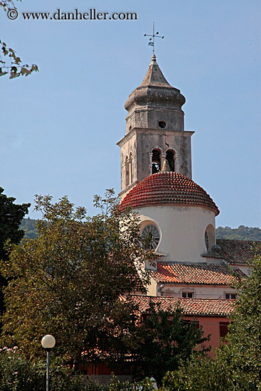 bell_tower-n-trees-2.jpg