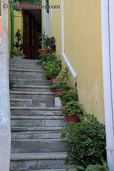 potted-plants-on-steps.jpg