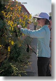 croatia, europe, harding, helene patrick, helenes, people, vertical, womens, wt group istria, photograph