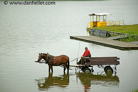 horse-to-water-2.jpg