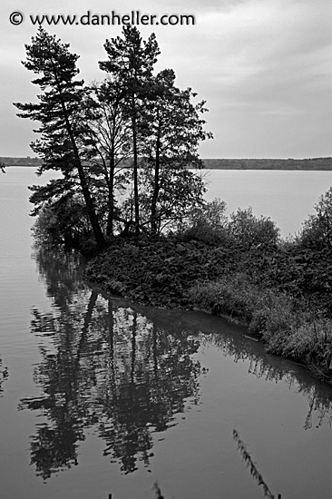 trees-reflect-bw.jpg