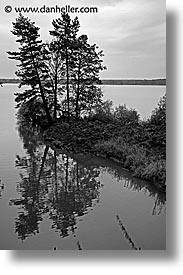 black and white, bohemia, czech republic, europe, reflect, trees, vertical, photograph