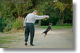 cesky krumlov, czech republic, dogs, europe, horizontal, jumping, photograph