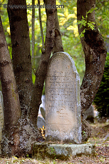 jewish-graves-14.jpg