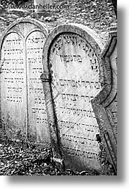 images/Europe/CzechRepublic/Mikulov/JewishCemetary/jewish-graves-2-bw.jpg