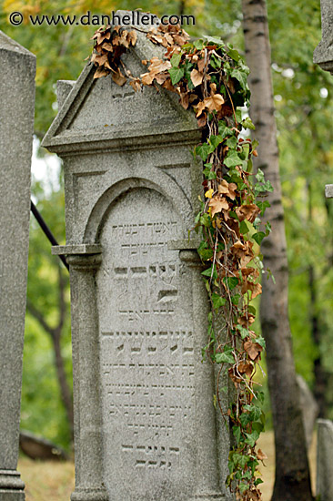 jewish-graves-4.jpg