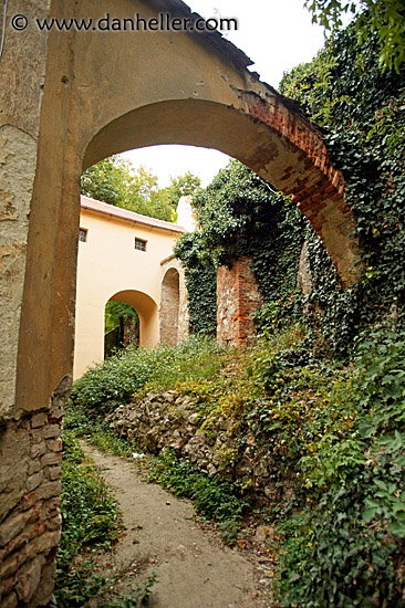 viney-archway.jpg