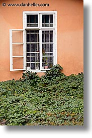 czech republic, europe, mikulov, vertical, viney, windows, photograph
