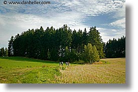 images/Europe/CzechRepublic/Moravia/field-hiking.jpg