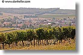 images/Europe/CzechRepublic/Moravia/vinyard-town-2.jpg