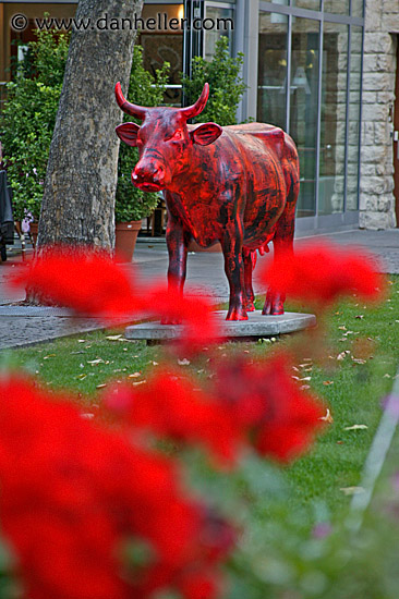 red-cow.jpg