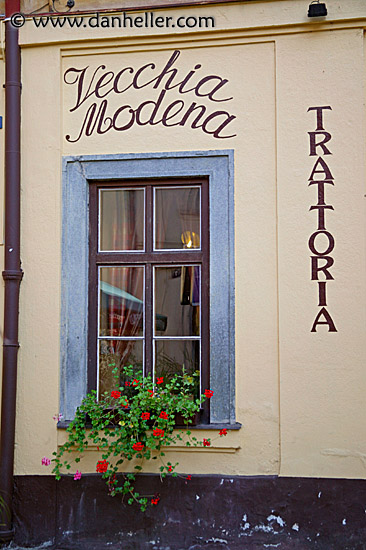 trattoria-window.jpg