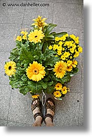 czech republic, europe, feet, flowers, prague, vertical, photograph