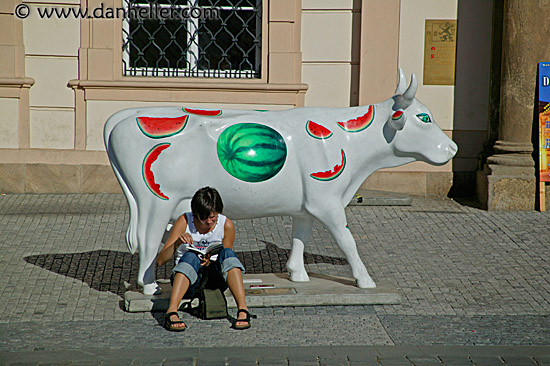 czech-cows-1.jpg