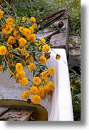 images/Europe/CzechRepublic/SumavaForest/flowers-in-tub-1.jpg